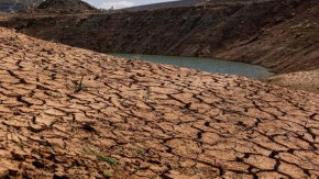 
Изследването разкрива, че доставките на повърхностна вода в Централната долина като цяло са намалени с 43% през 2021 и 2022 г. , което принуждава калифорнийските фермери да оставят над 1,3 милиона декара незасадени площи - най-много незасадени площи в последно време.