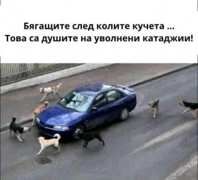 Смешки