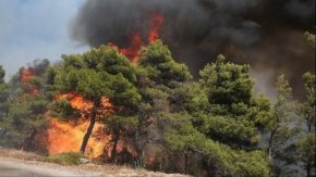 Сили на пожарната и доброволци се опитват да овладеят ситуацията, докато в района духат силни ветрове, съобщава националната телевизия ЕРТ.