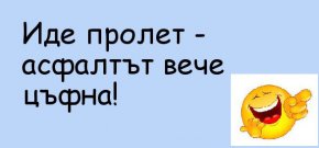 Иде пролет - асфалтът вече цъфна!