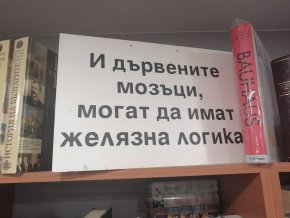 Дървени мозъци