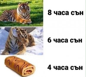 Смях