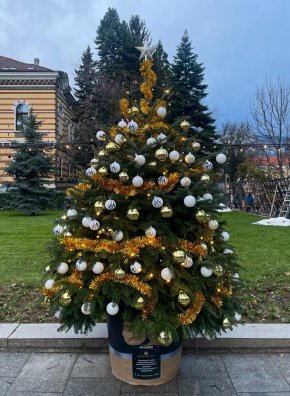 За пета поредна година Елхите на таланта сбъдват мечти, чрез благородната си мисия  