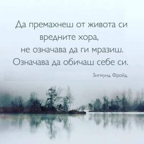 Да премахнеш от живота си вредните хора, не означава да ги мразиш, означава да обичаш себе си.
