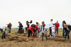    Доброволци от Пощенска банка засадиха 1300 нови фиданки в района на село Негован