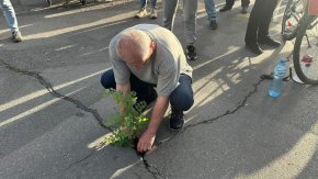  Садят в новоасфалтирания от ППДБСС преди 35 дни бул. Патриарх Евтимий