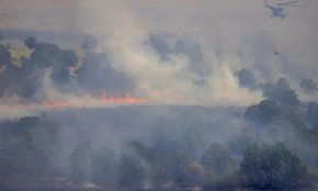 
Животновъдите, които пострадаха при пожари в Хасковска област, ще получат помощ от държавата до края на седмицата. Това съобщи земеделският министър д-р Георги Тахов в Харманли, където се запозна на място  с пораженията от пожарите през последната седмица