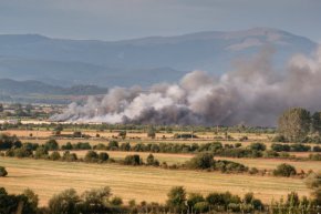 Двете жертви в складовете с пиротехника край Елин Пелин са загинали от взрива 