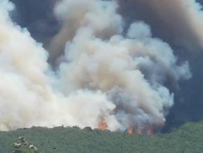 Голям пожар избухна между селата Микрево и Каменица