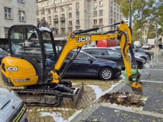   Терзиев и Трайчо убиват още дървета на жълтите павета